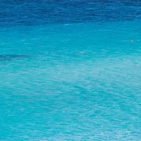 Charming Sea No2085