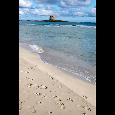 Charming Sea No2085 Appartement